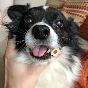 Meet your Posher, Jess